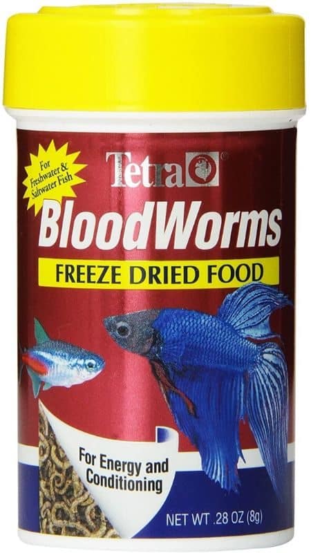 Tetra bloodworms