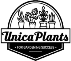 Unica Plants