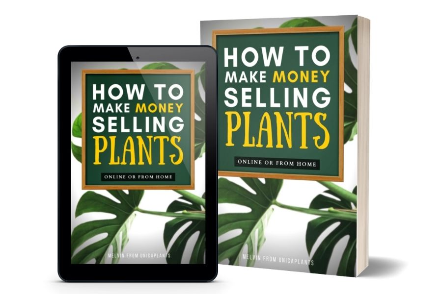 How to make money selling plants eBook